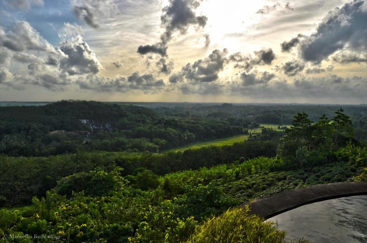 House On A Hill By The Serendipity Collection *